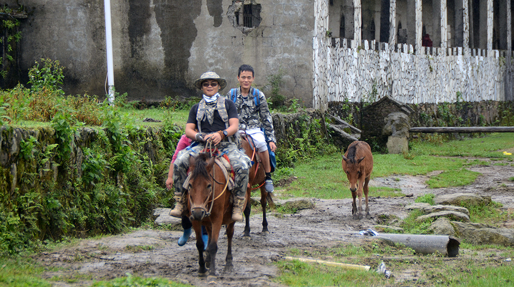 金雅福集團2015年度旅游