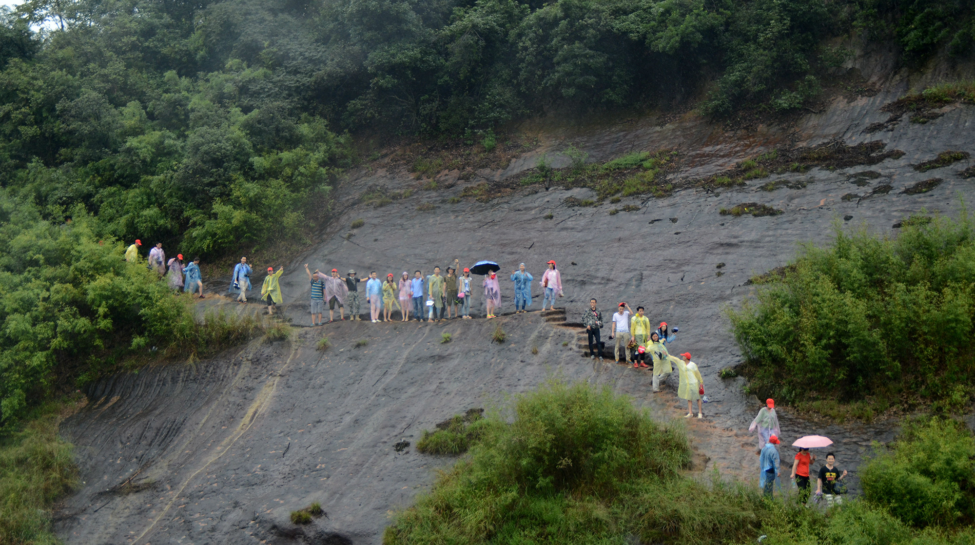 金雅福集團2015年度旅游