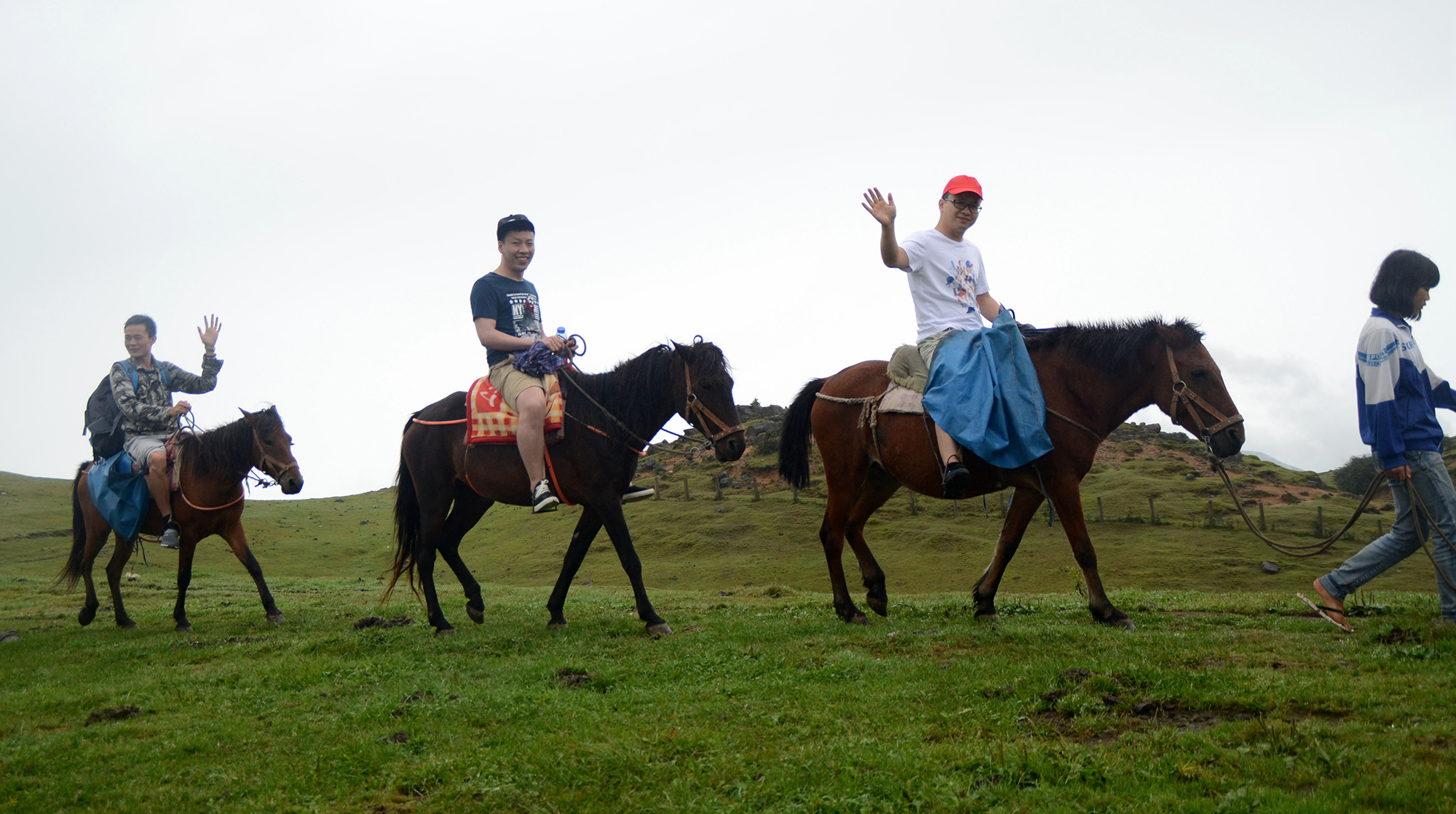 金雅福集團2015年度旅游
